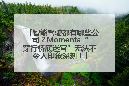 智能驾驶都有哪些公司？Momenta“穿行桥底迷宫”无法不令人印象深刻！